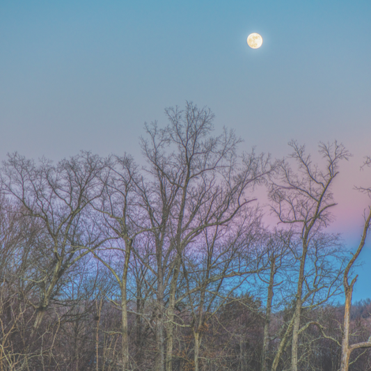 Embrace the full moon!