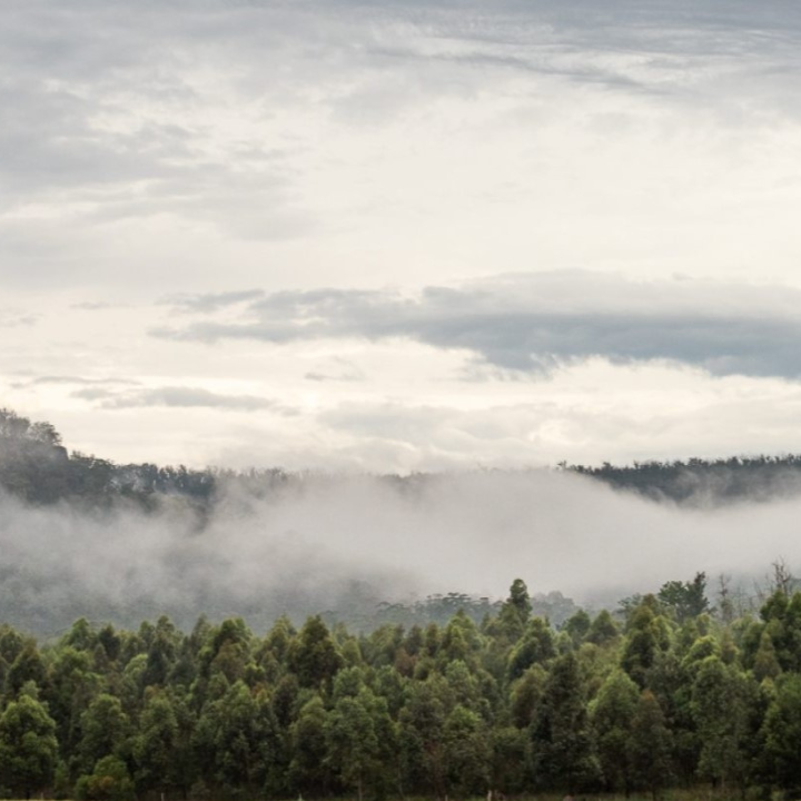 Spectacular Bundanon